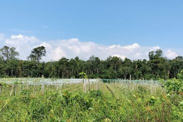 Port Of Tanjung Pelepas