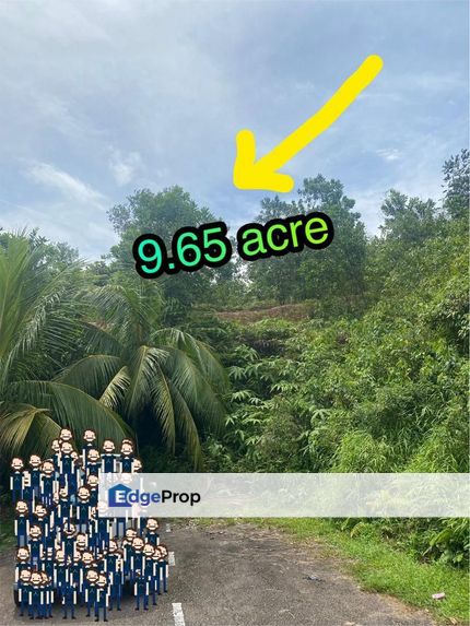 Residential Land Masai, Bandar Seri Alam Flora Heights, Johor, Johor Bahru