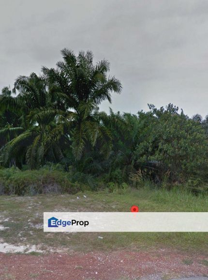 Sedenak Kulai @ Kg Baru Sedenak Johor, Johor, Kulai