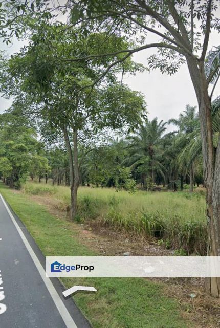 Kluang Johor @ Taman Perindustrian Sinaran Agriculture Land, Johor, Kluang
