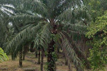 Kawasan Perindustrian Pasir Gudang