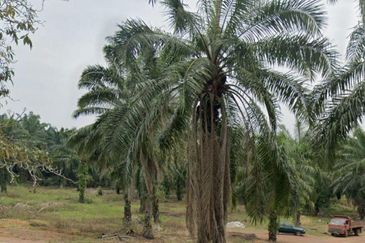 Kawasan Perindustrian Pasir Gudang