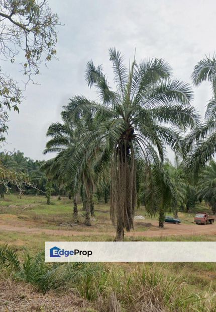 Tanjung Langsat @ Pasir Gudang Johor, Johor, Pasir Gudang