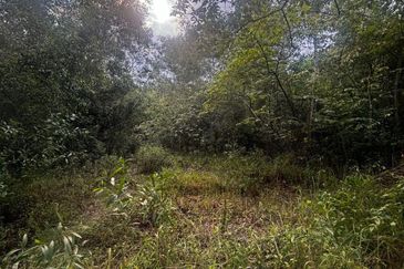 Kawasan Perindustrian Pasir Gudang