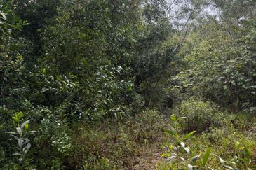 Kawasan Perindustrian Pasir Gudang