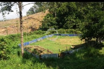 Pekan Ulu Yam (Lama)