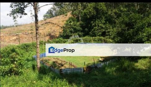 For Sale Agriculture Land - Ulu Yam Selangor, Selangor, Batang Kali