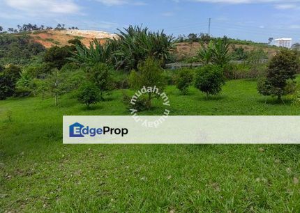 Agricultural Land for Sale - Brogra Semenyih, Selangor, Semenyih
