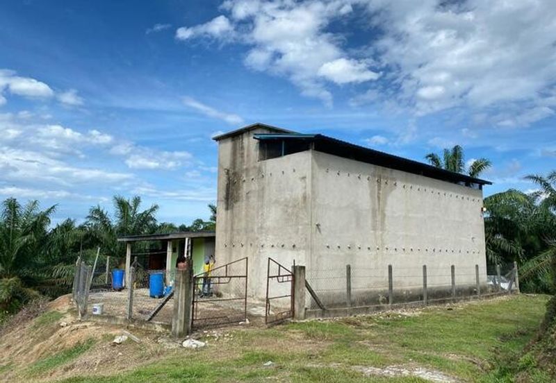 Agriculture land for sale,114 Acres, dungun Terengganu (Malay Reserve)