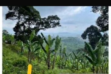 Excellent for development of Hill Resort/Luxury Condo