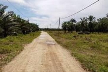 Palm Oil Land Jaya Baharu Perak