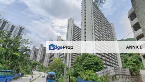 Below Market 27% - Tingkat Paya Terubong 5 @ Taman Terubong Indah, Paya Terubong, Penang FOR SALE, Penang, Paya Terubong