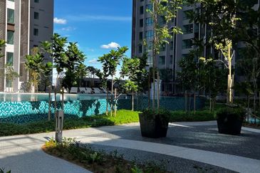 Cubic Botanical (Residensi Rimba)