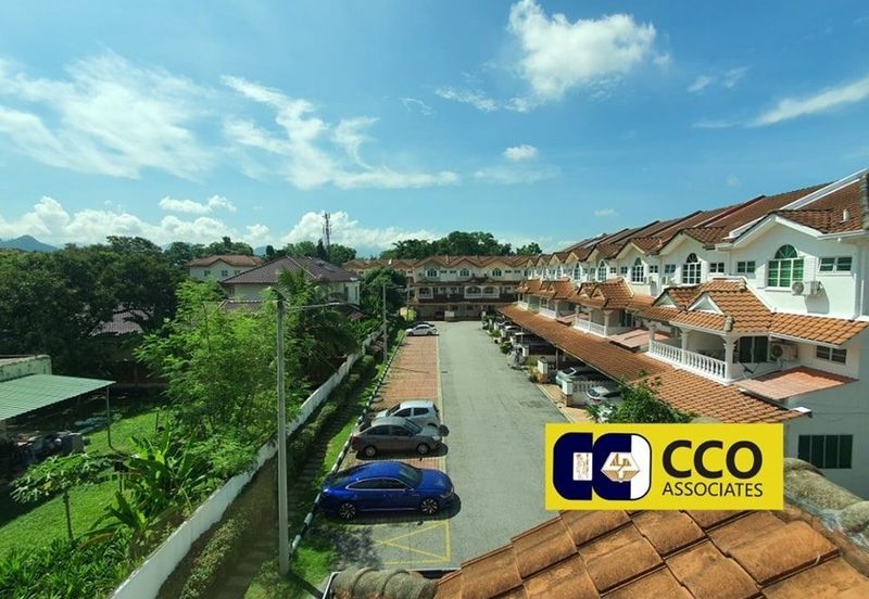 Thompson Pines Impiana Bougainvillea