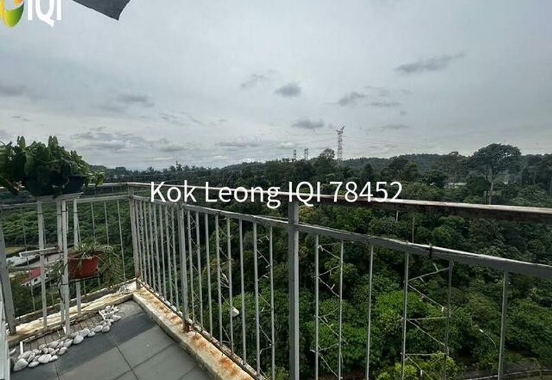 Springville Residence