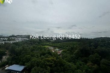 Springville Residence