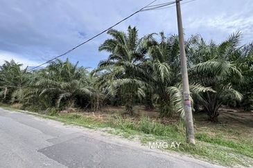 Telok Panglima Garang Industrial Zone