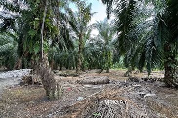 Telok Panglima Garang Industrial Zone