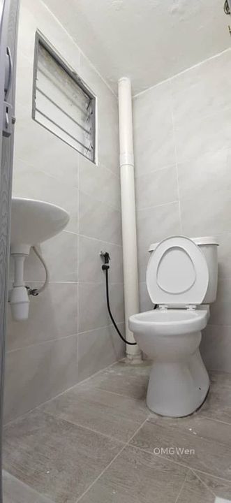 Taman Eng Ann Klang Single Storey Newly Fully Renovated Extended Non Flood Freehold Facing Open for Sale, Selangor, Klang