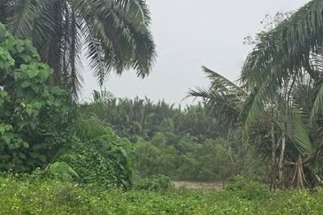 Telok Panglima Garang