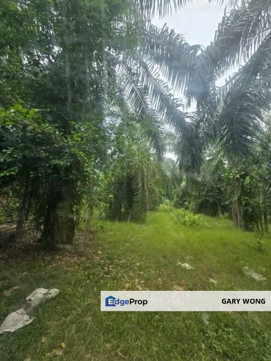 Telok Panglima Garang Zoning Industrial land 6.32 acres Flat Land Good Access Freehold for Sale , Selangor, Kuala Langat