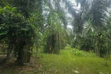 Telok Panglima Garang