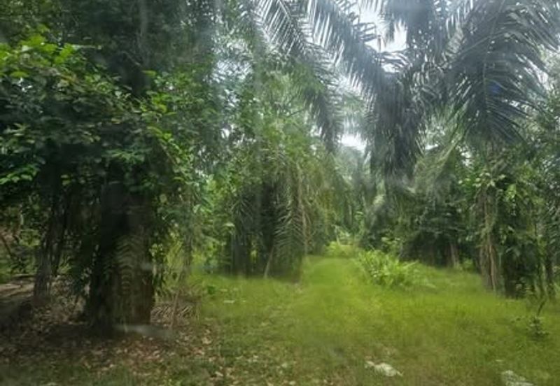 Telok Panglima Garang