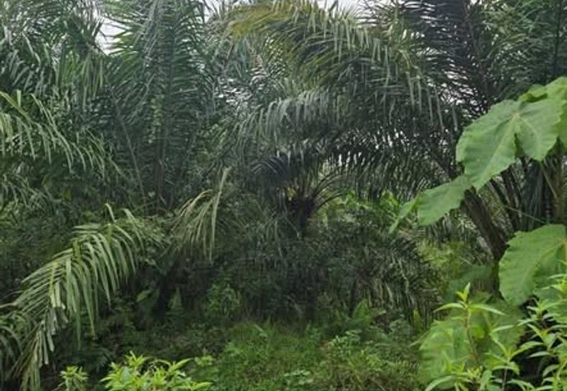 Telok Panglima Garang