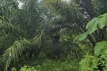 Telok Panglima Garang