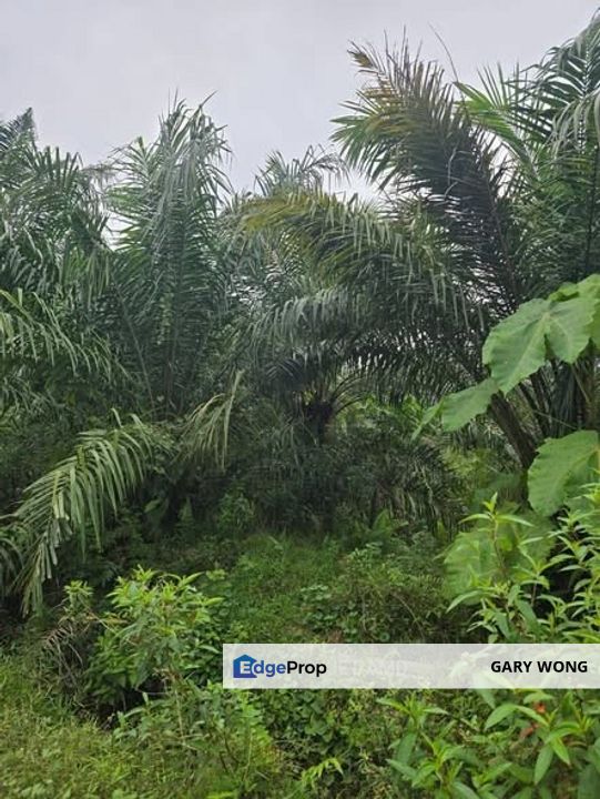 Telok Panglima Garang Zoning Industrial land 6.32 acres Flat Land Good Access Freehold for Sale , Selangor, Kuala Langat