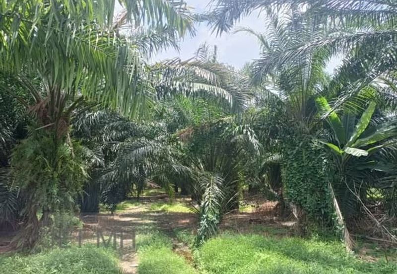 Telok Panglima Garang