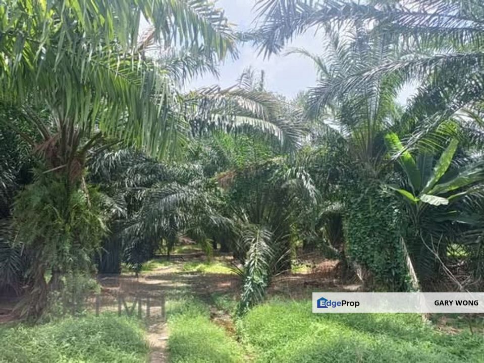 Telok Panglima Garang Zoning Industrial land 6.32 acres Flat Land Good Access Freehold for Sale , Selangor, Kuala Langat