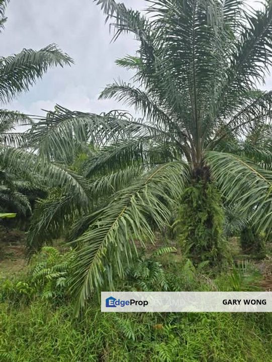 Telok Panglima Garang Zoning Industrial land 6.32 acres Flat Land Good Access Freehold for Sale , Selangor, Kuala Langat