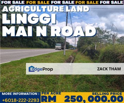 AGRICULTURE LAND LINGGI MAINROAD, Negeri Sembilan, Linggi