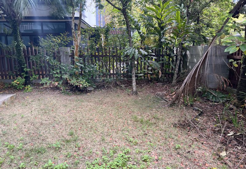 Anise Pearl @ Forest City