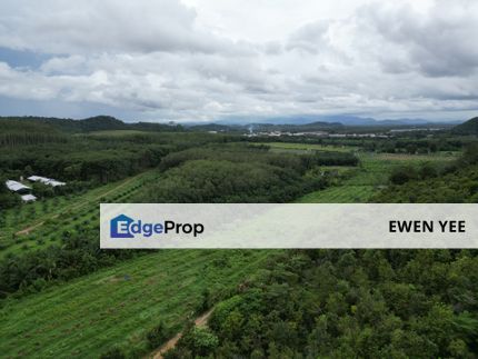 Pokok Sena Jabi Kedah Agricultural Land For Sale, Kedah, Pokok Sena