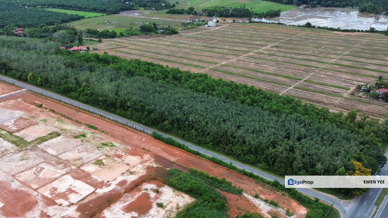 Napoh Jitra Kedah Agricultural For Sale, Kedah, Kubang Pasu