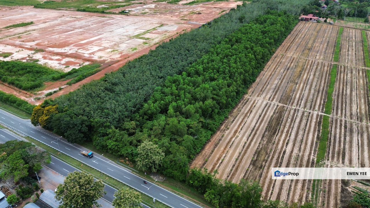 Napoh Jitra Kedah Agricultural For Sale, Kedah, Kubang Pasu