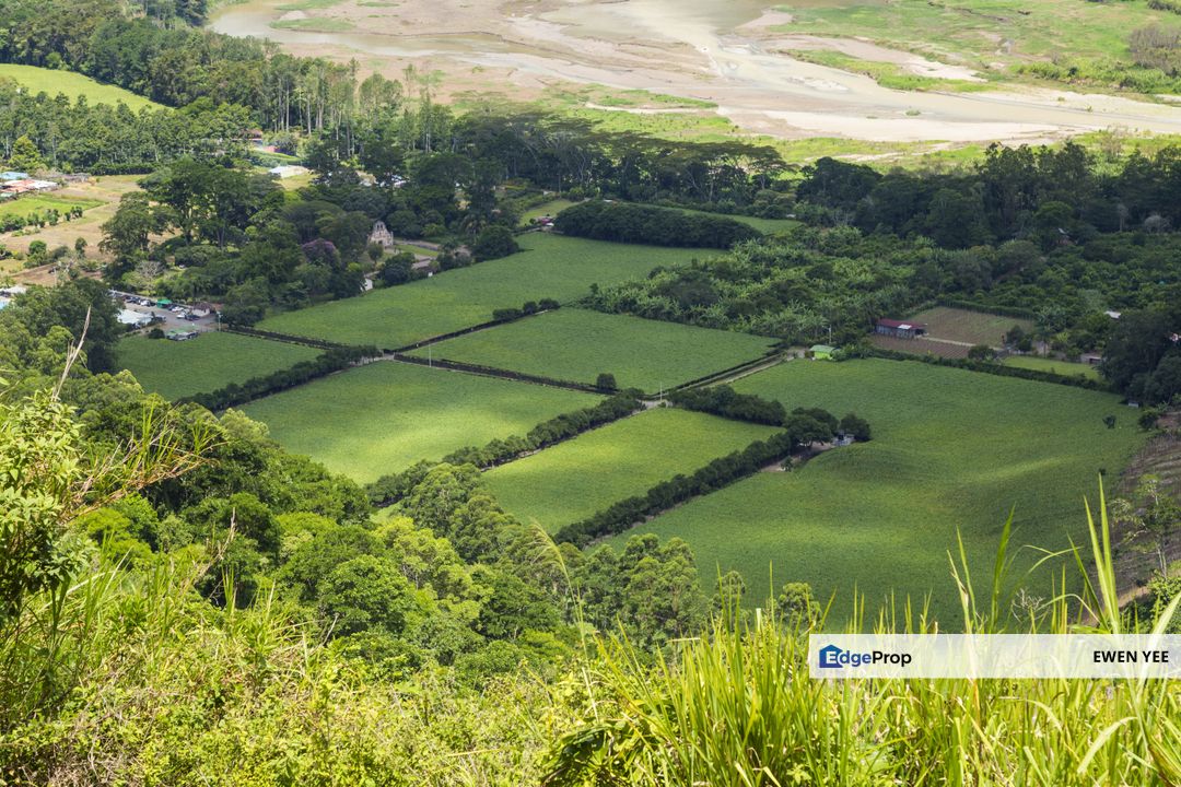 Binjal Jitra Kedah Agriculture Land For Sale, Kedah, Kubang Pasu