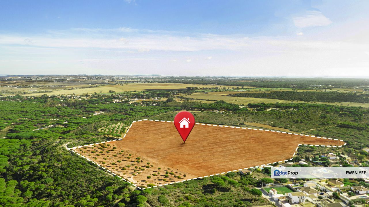 Binjal Jitra Kedah Agriculture Land For Sale, Kedah, Kubang Pasu