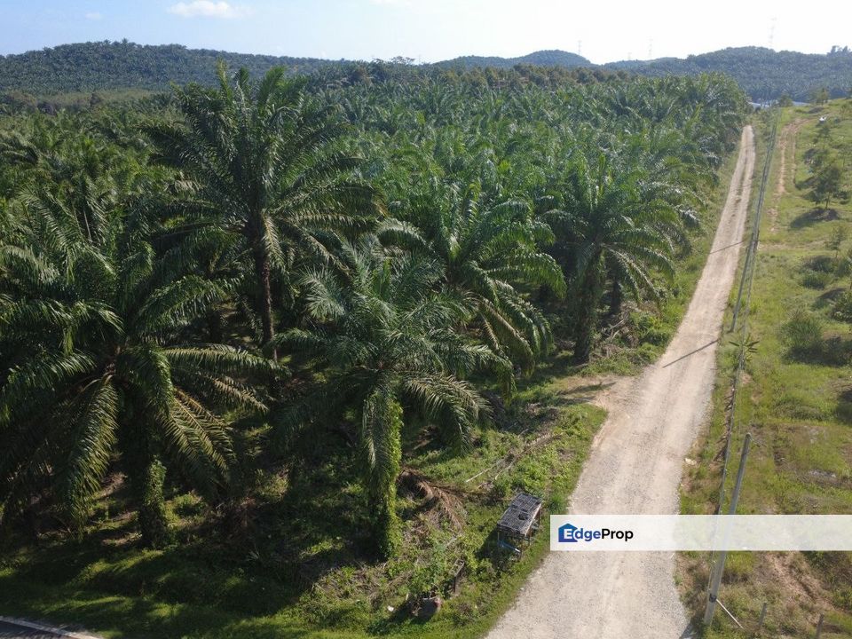 Agriculture Land @ Gemencheh Negeri Sembilan For sales, Negeri Sembilan, Tampin