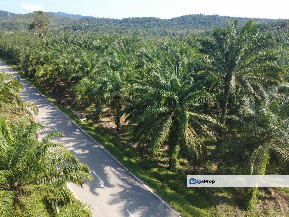 Agriculture Land @ Gemencheh Negeri Sembilan For sales, Negeri Sembilan, Tampin