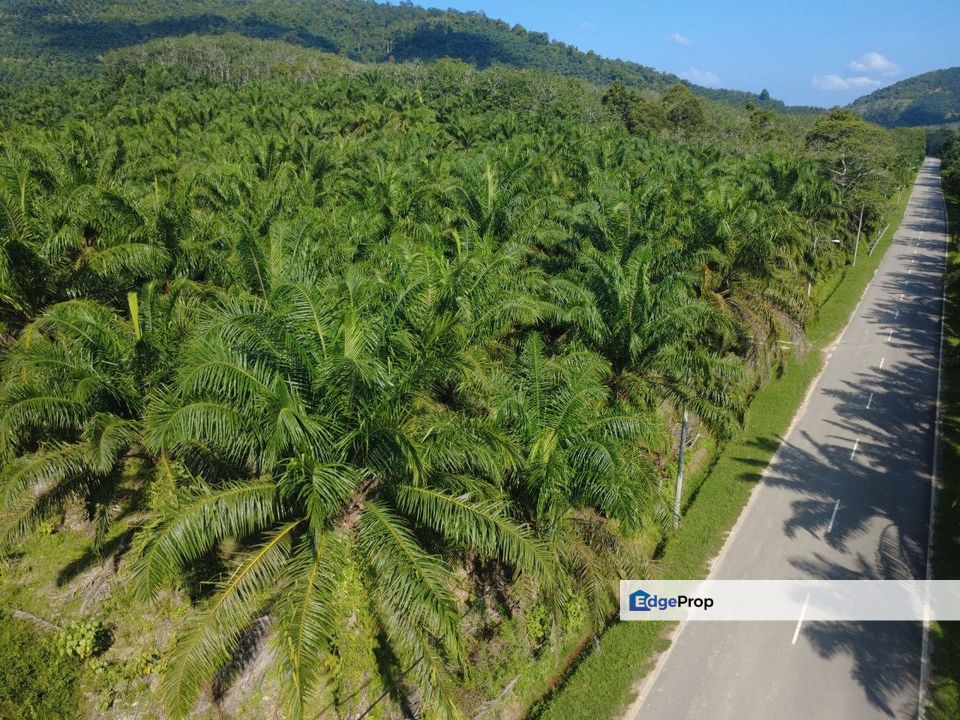 Agriculture Land @ Gemencheh Negeri Sembilan For sales, Negeri Sembilan, Tampin