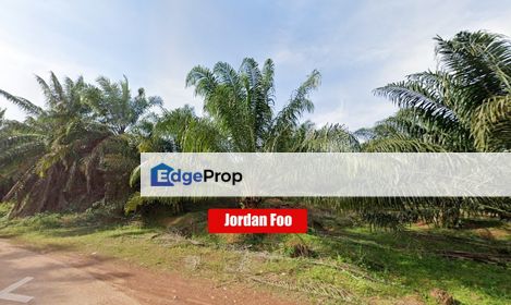 Oil Palm Estate Sungkap Para near Sungai Petani 103 Acres, Kedah, Bedong