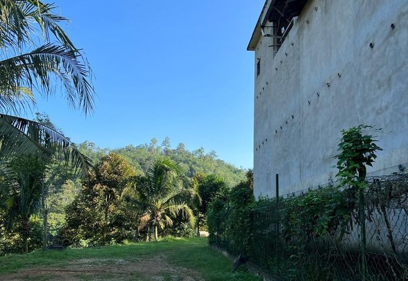 FREEHOLD Durian Farm + Swiftlet Income FOR SALE
