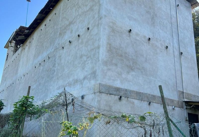 FREEHOLD Durian Farm + Swiftlet Income FOR SALE