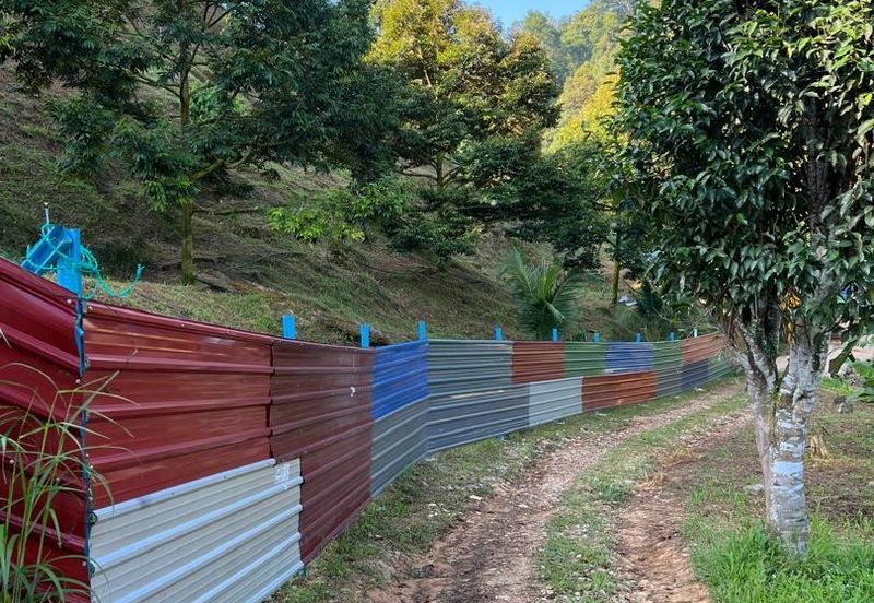 FREEHOLD Durian Farm + Swiftlet Income FOR SALE