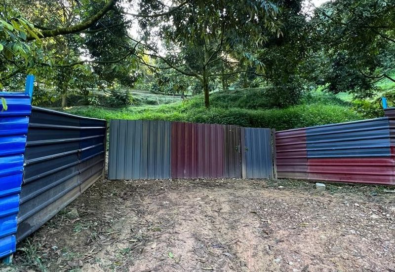 FREEHOLD Durian Farm + Swiftlet Income FOR SALE