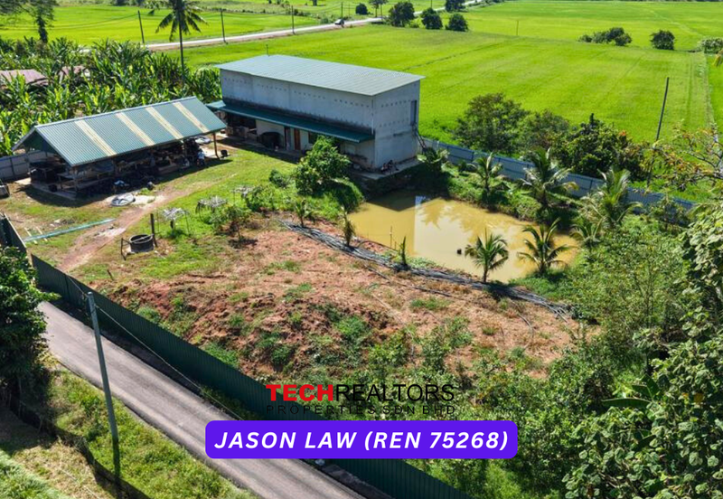 Durian Orchard | Pendang Kedah | Easy Access with Own Road | Musang King, Blackthorn, Tupai King & Others – Only RM11 psf! 🌿