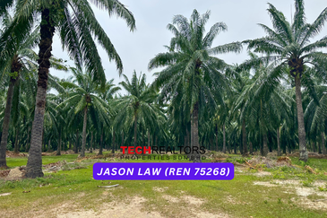 Agriculture Land🌿 RM3.80/sqft | Semeling Bedong Kedah | Under Market Value❗️